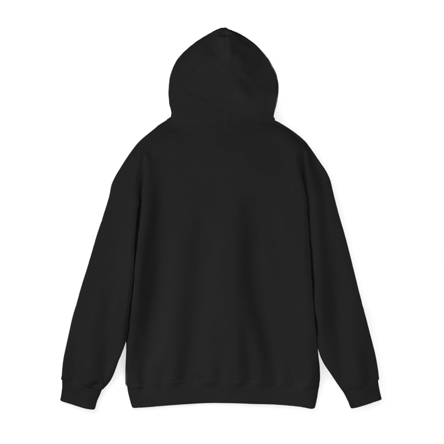 Spooky Since the 1900's , Retro Halloween Hooded Sweatshirt, Vintage Black Cat Graphic.