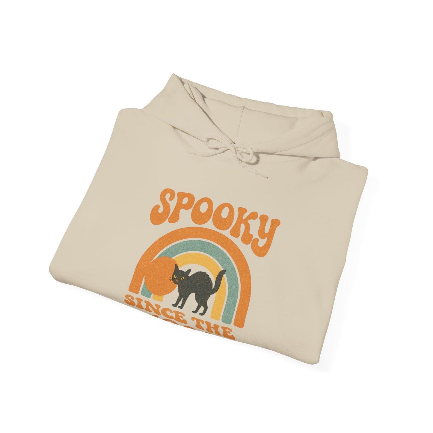 Spooky Since the 1900's , Retro Halloween Hooded Sweatshirt, Vintage Black Cat Graphic.