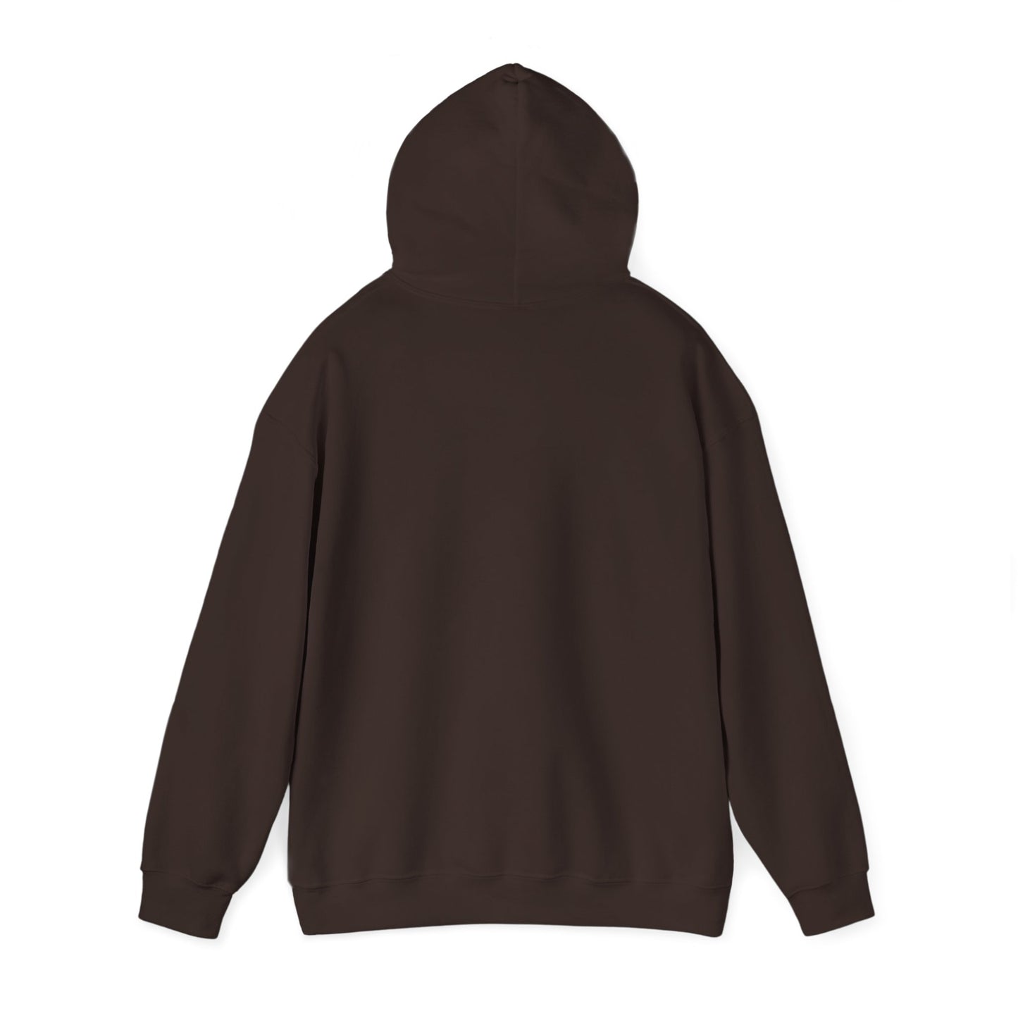 Spooky Since the 1900's , Retro Halloween Hooded Sweatshirt, Vintage Black Cat Graphic.