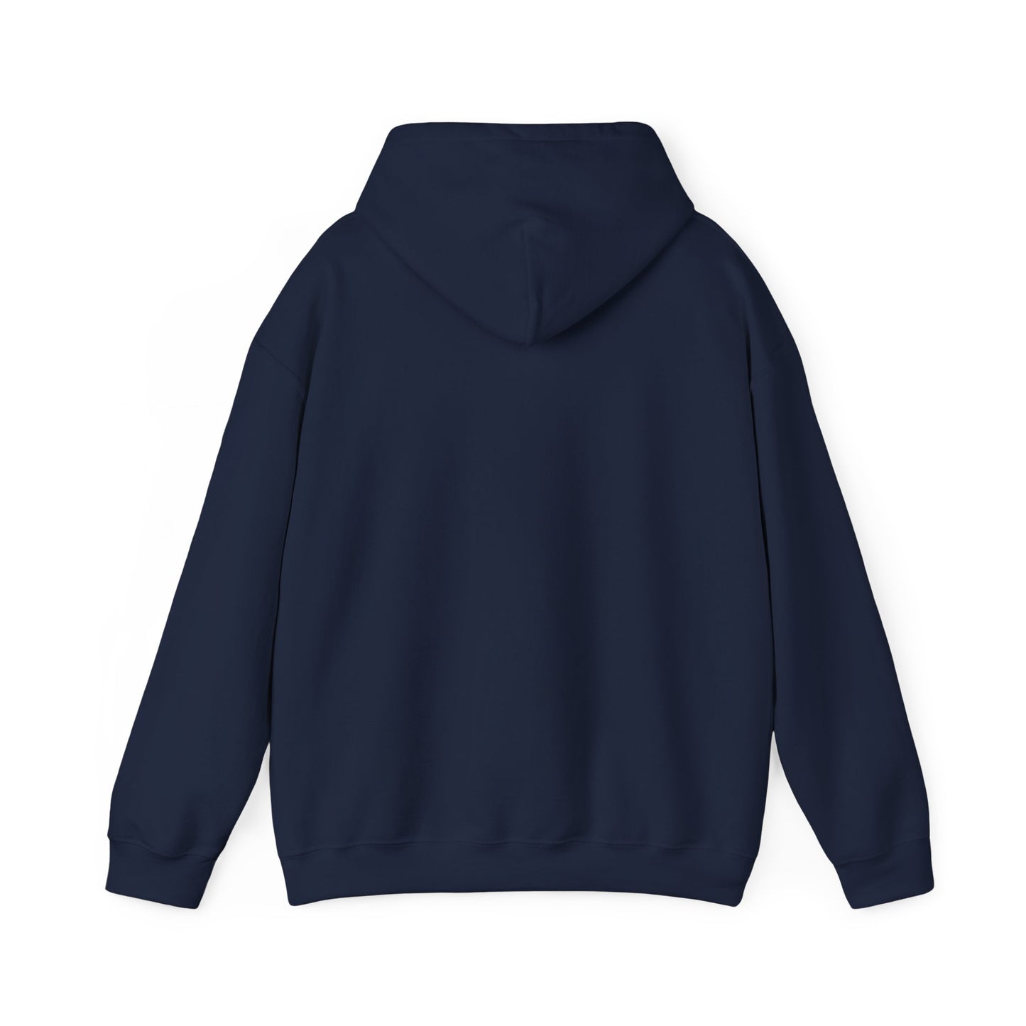 Spooky Since the 1900's , Retro Halloween Hooded Sweatshirt, Vintage Black Cat Graphic.
