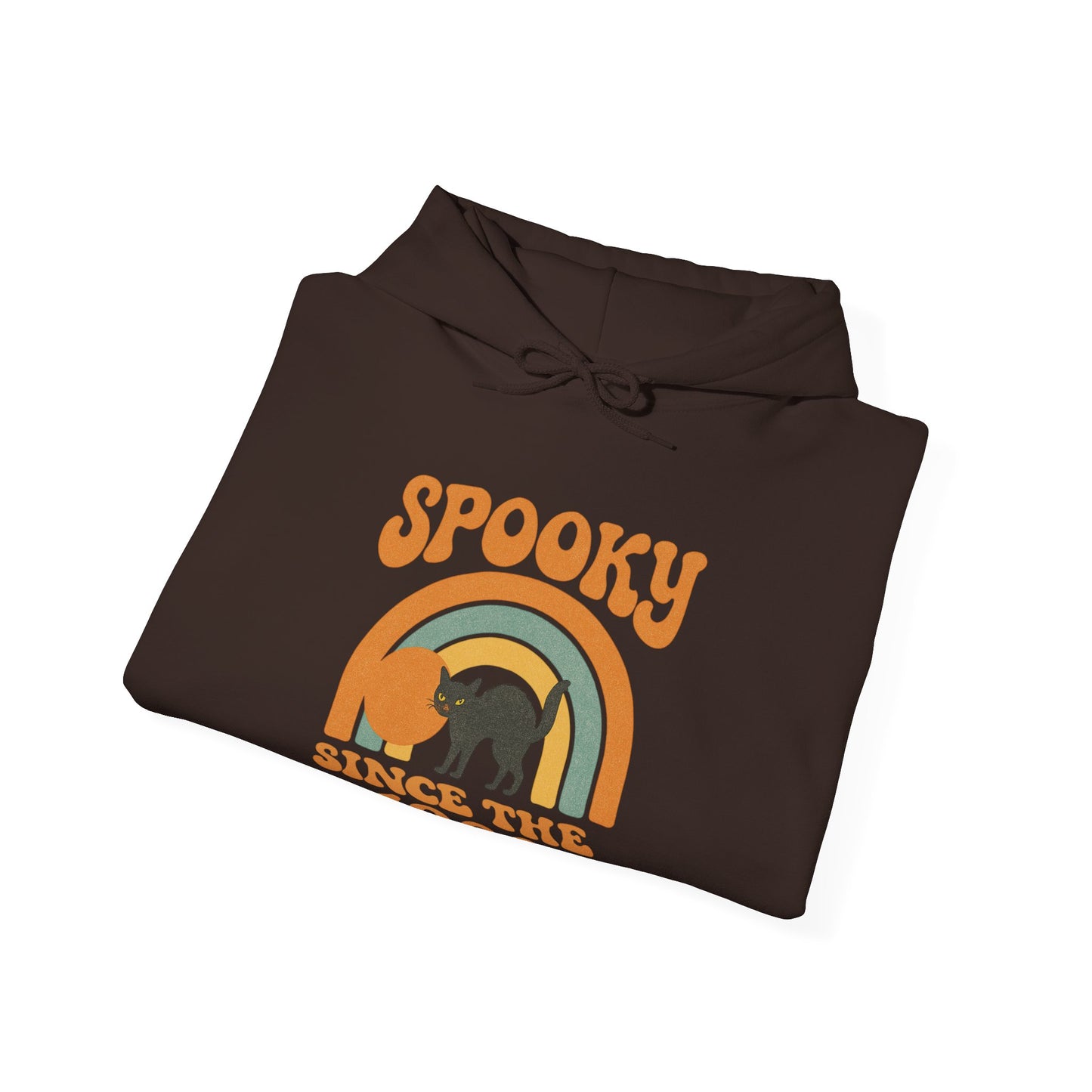 Spooky Since the 1900's , Retro Halloween Hooded Sweatshirt, Vintage Black Cat Graphic.