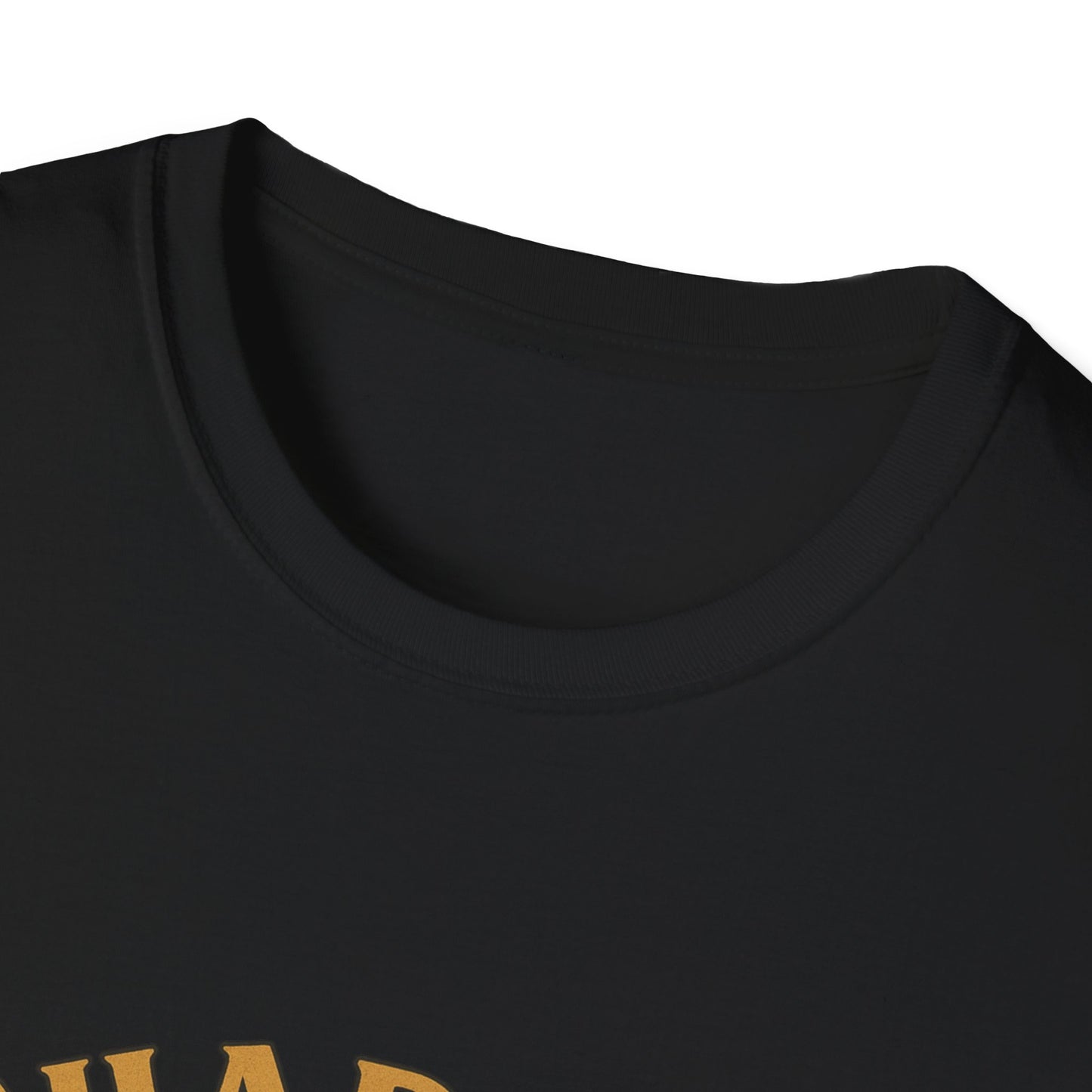 Shadow Guardian ,Black Cat T-Shirt | Perfect Gift for Cat Lovers, Halloween, Cozy Wear, Pet Enthusiasts, Unisex Style
