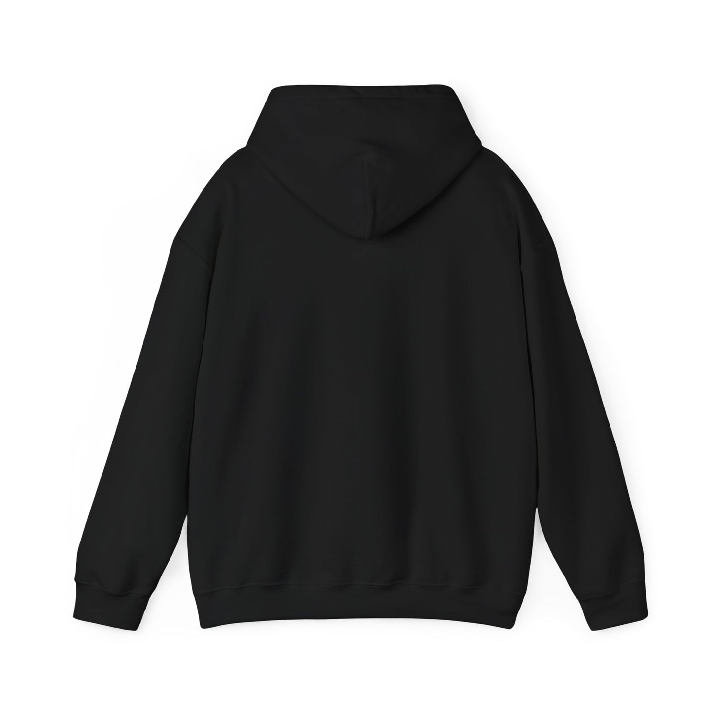 Spooky Since the 1900's , Retro Halloween Hooded Sweatshirt, Vintage Black Cat Graphic.