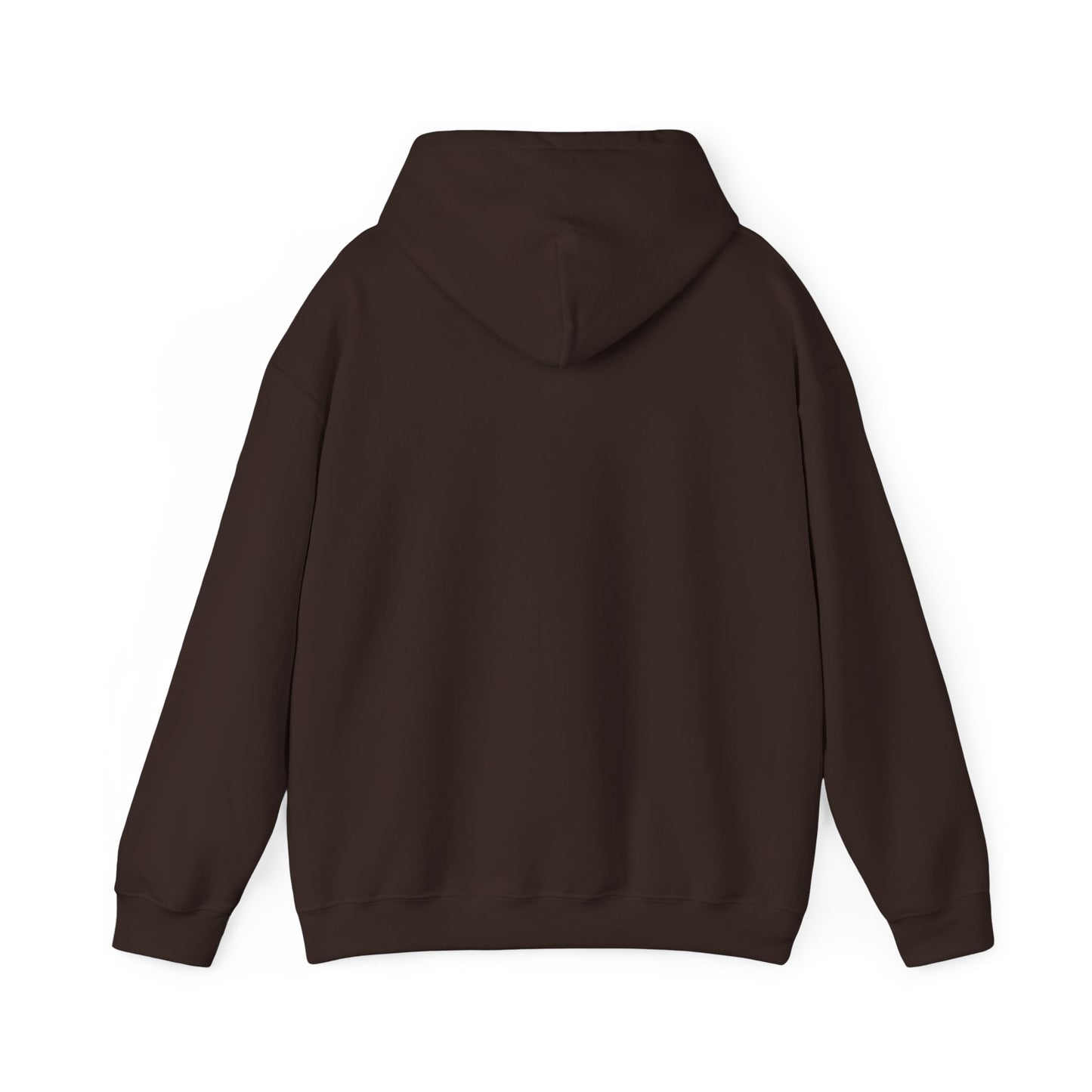 Spooky Since the 1900's , Retro Halloween Hooded Sweatshirt, Vintage Black Cat Graphic.